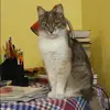 Отзыв от Любовь Гусева